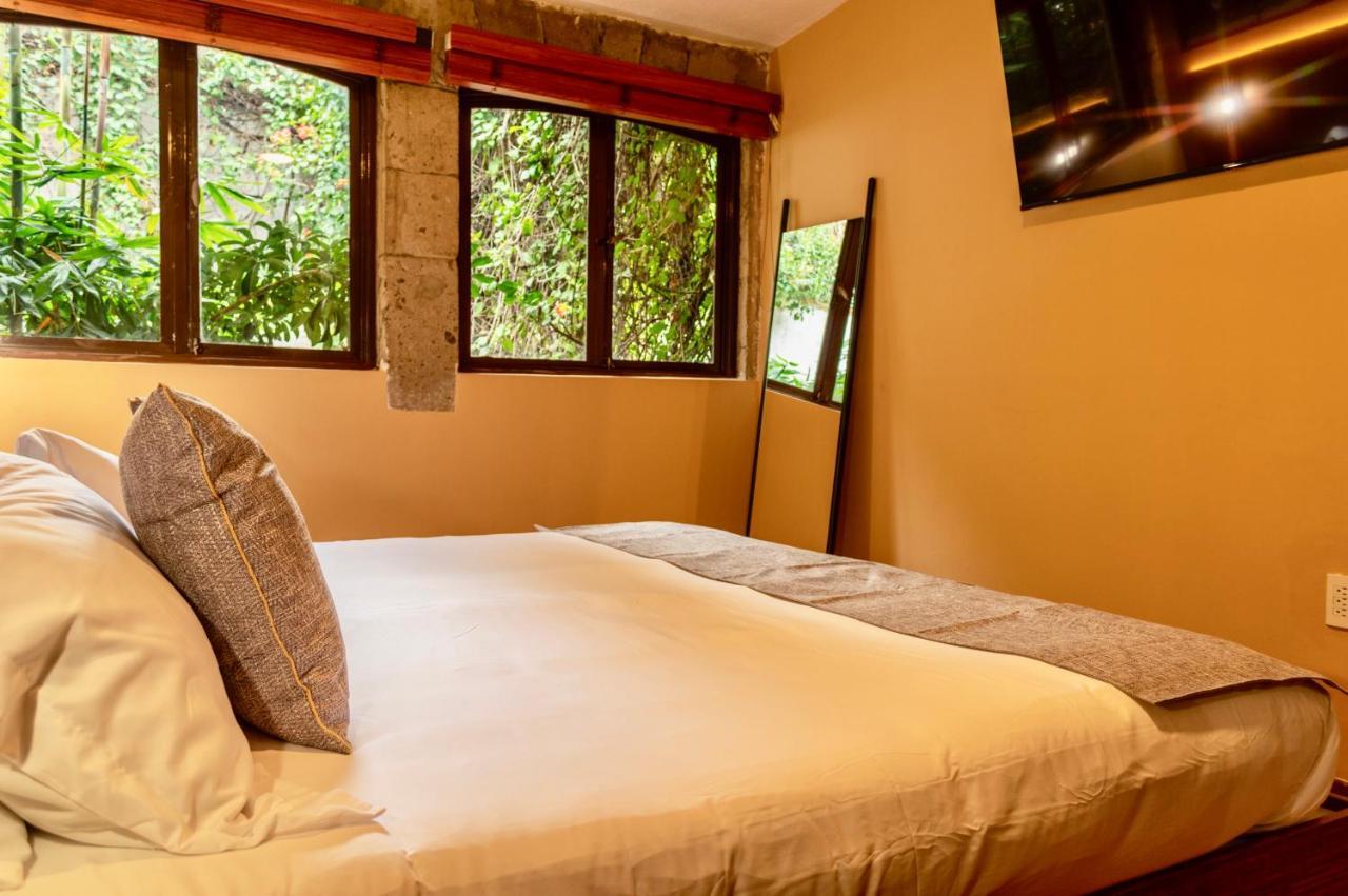 Mi Zona Lodging Coyoacan Mexico By Eksteriør billede