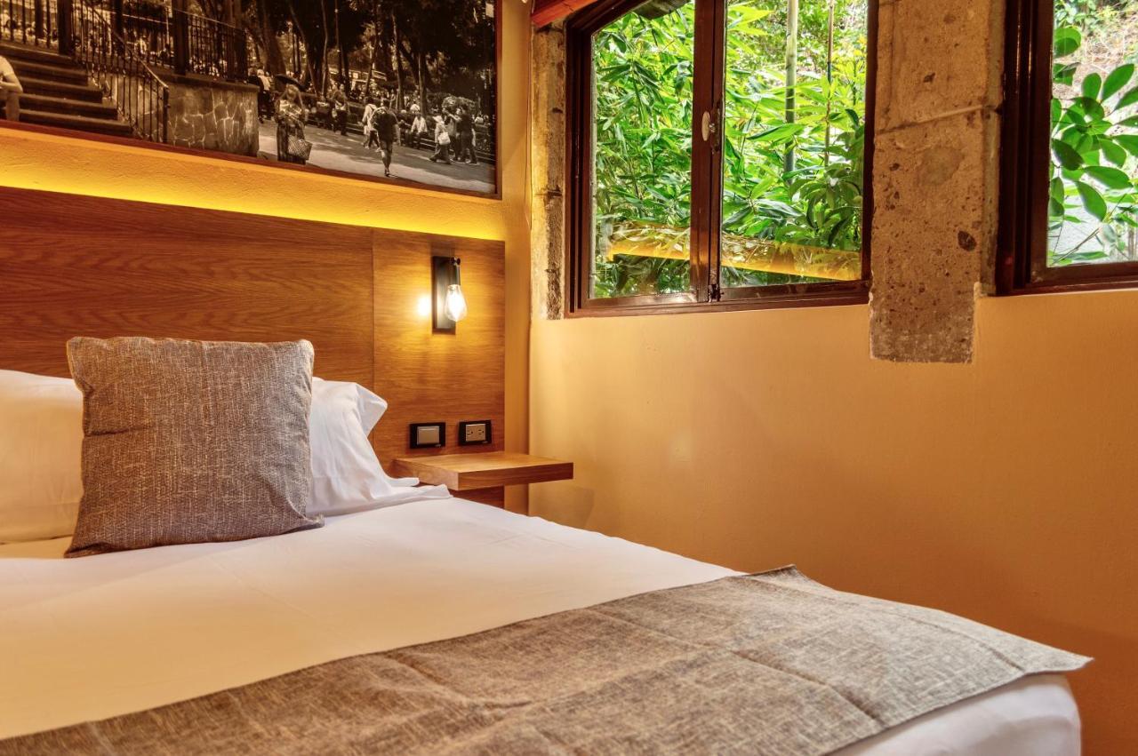 Mi Zona Lodging Coyoacan Mexico By Eksteriør billede